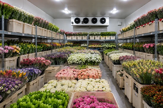 nandikoti_Flower Cold Storage
